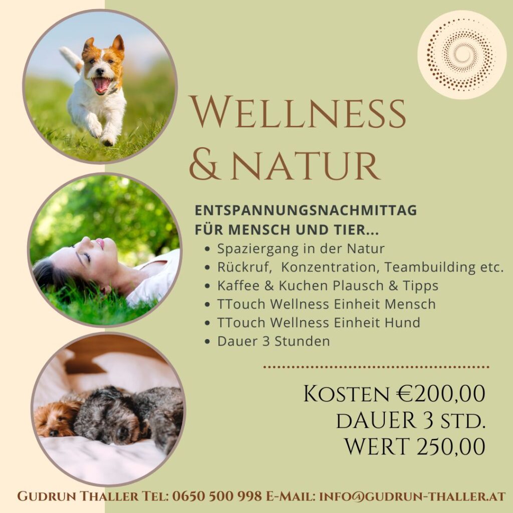 Mentoring Programm Hund WELLNESS & NATUR