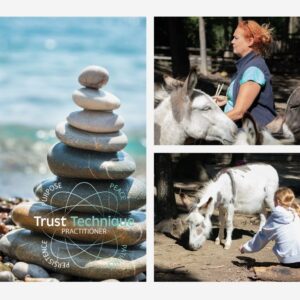 Trust Technique Demo Day - 16.11.2025 STOCKERAU