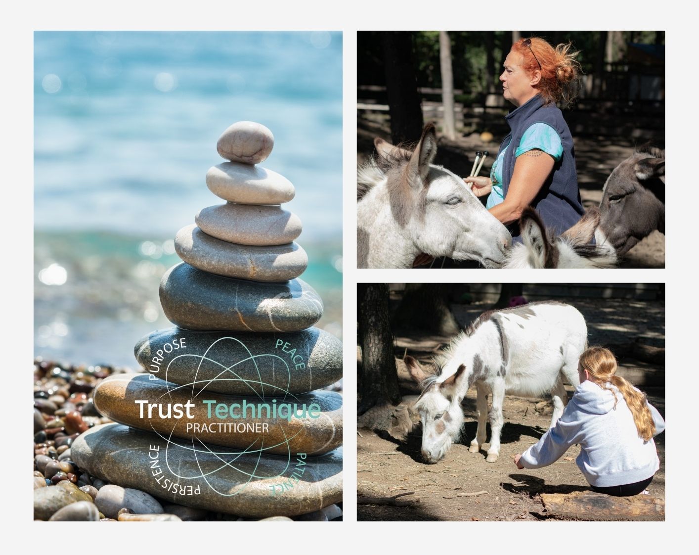 Trust Technique Demo Day - 16.11.2025 STOCKERAU