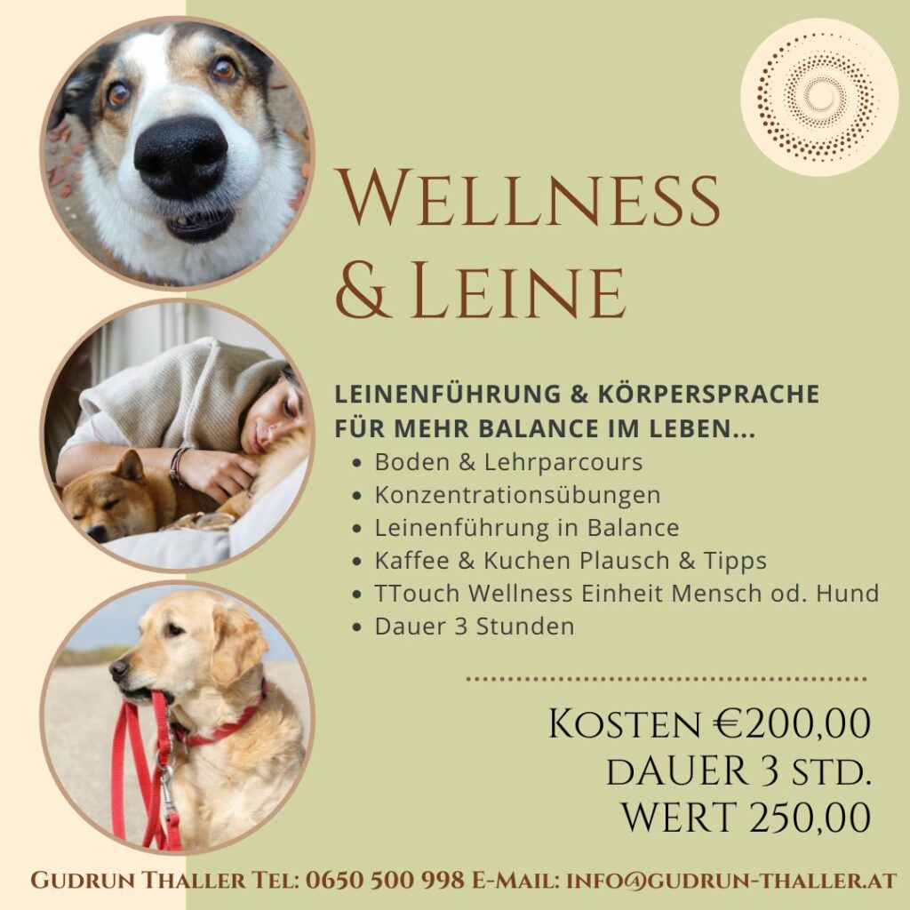 Mentoring Programm Hund WELLNESS & LEINE