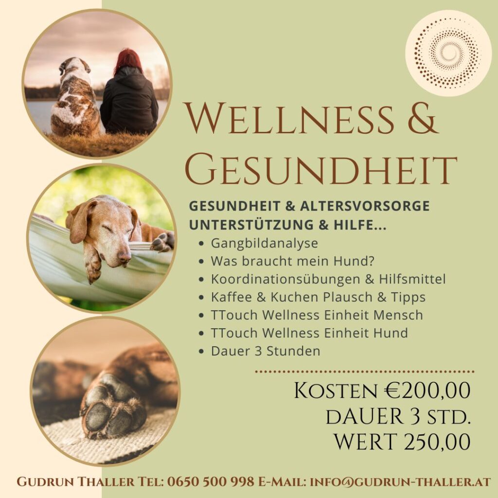 Mentoring Programm Hund WELLNESS & GESUNDHEIT
