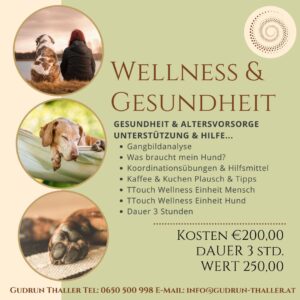 Wellness & Gesundheit