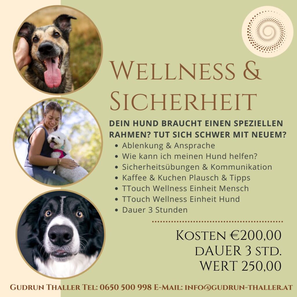 Mentoring Programm Hund WELLNESS & SICHERHEIT