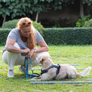 TTouch Hunde 1 Tageskurs 09.11.2025 STOCKERAU