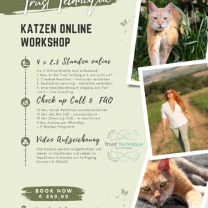TRUST TECHNIQUE Online Modul Katzen