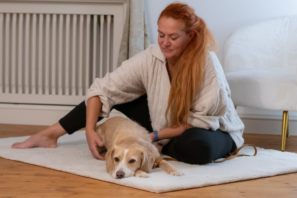 TELLINGTON TTouch Hunde 1 Tageskurs