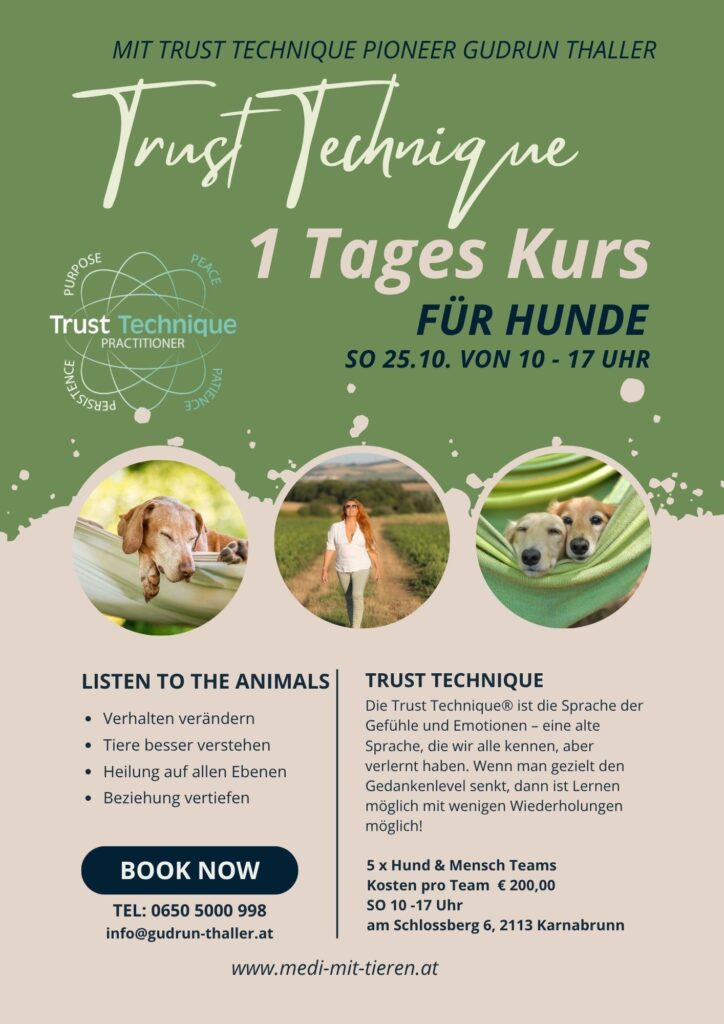 TRUST TECHNIQUE 1 Tages Kurs Hund