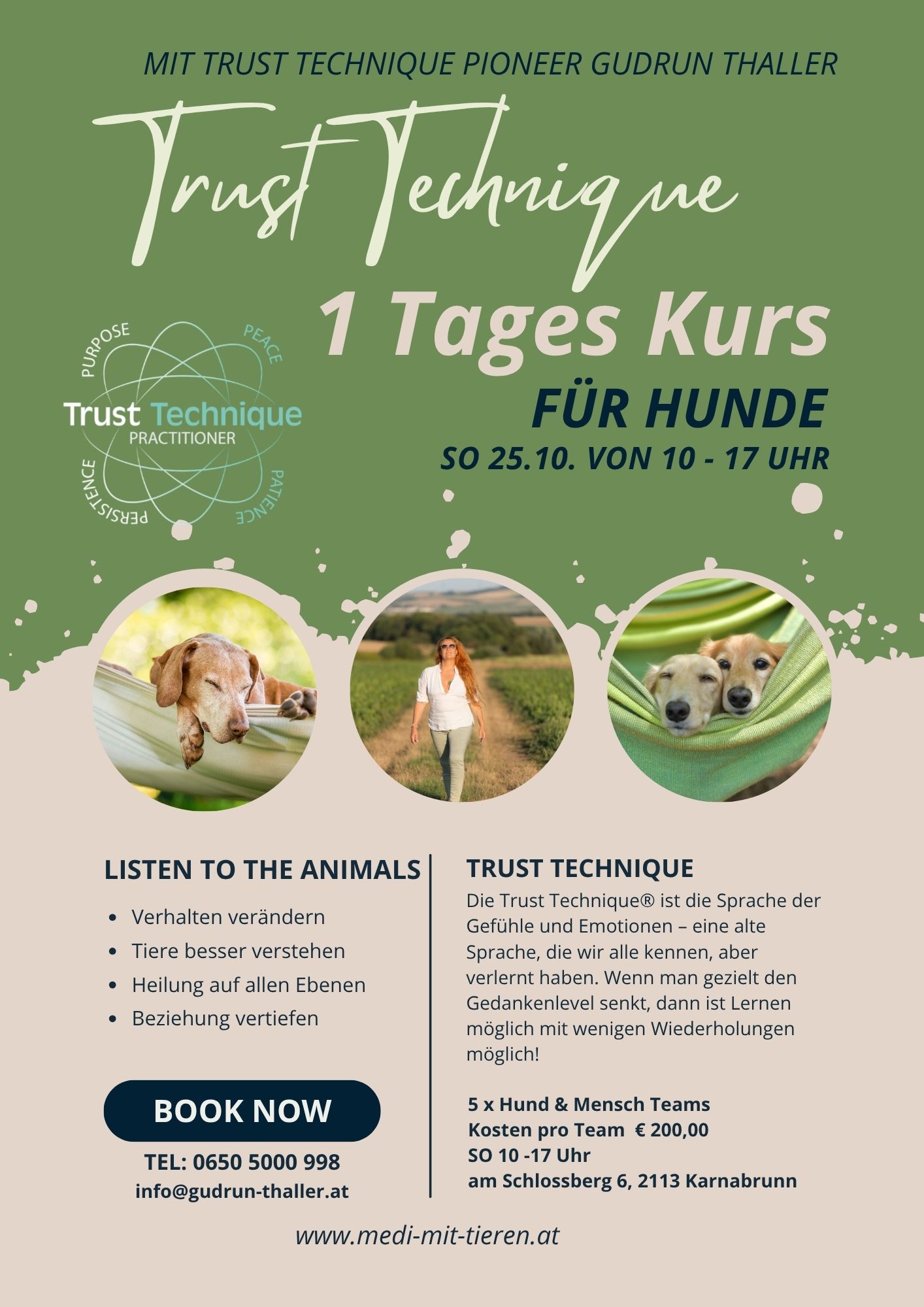 TRUST TECHNIQUE 1 Tages Kurs Hund