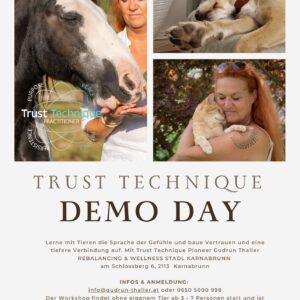 TRUST TECHNIQUE Demo Day