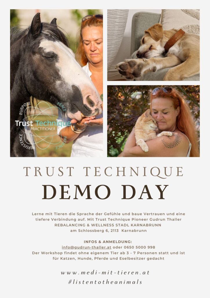 KIDs & PETs - lerne mit den Tieren zu reden!